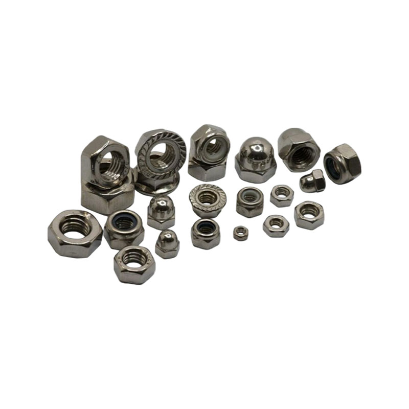 Stainless Steel Nuts